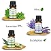 SKYMORE Top 6 Essential Oil Blend Gift Set, 100% Pure Aromatherapy Oils for Diffuser, Best Therapeutic Grade Essential Oil Kit - 6/10ml (Sleep, Breathe, Relaxation, Refresh, Immunity, Decompression)