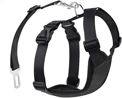 Popetpop Harnais De Sécurité Pour Chien En Voiture Avec Ceinture De Sécurité Pour Petit Moyen Grand Chien M Noir