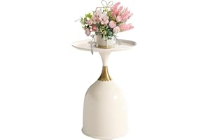Ironalita Small Round Pedestal Side Table for Small Spaces, Modern White Couch End Tables Living Room Corner Drink Table, Uni