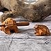 FUTUREPLUSX 3.5 inch Wood Frog Guiro Rasp Percussion