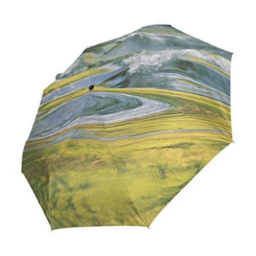 Full Automatic Portable Folding Rainy Umbrella Women Men Windproof Umbrella Printing Parapluie Paraguas