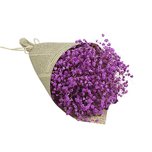 Ranoff Natural Dried Flower Baby's Breath Home Decor Natural Dried Flower Full Stars Eternal Dried Flower Bouquet Creative Gift Decoration Home Decoration Bar Cafe Artificial Flower (Purple)