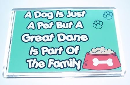 Perro sólo una mascota pero un gran danés parte de la familia imán ...