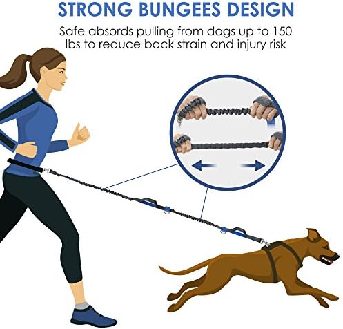 dog walking accessories uk