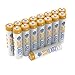 SunLabz AAA Rechargeable Batteries (16 Pack) Highest Performance NiMH 1000mAh