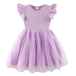 Girls Purple Tulle Dress Toddler Girls Tutu Dress