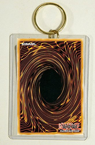 Yugioh Wave Of Light English Structure Deck 1x Free Random | Desertcart  Belize