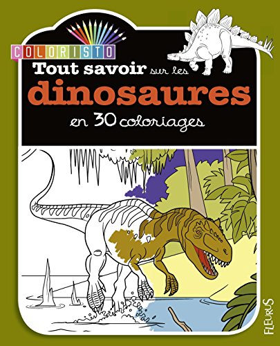 Tout savoir sur les dinosaures en 30 coloriages by (Paperback)