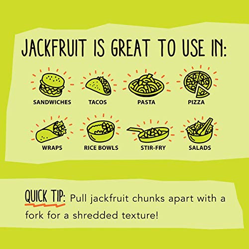 3 Jackfruit+Company+Lightly+Seasoned+Replacement
