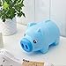Blue Piggy Bank Children Gift