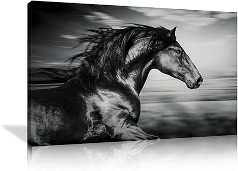 black and white framed horse pictures
