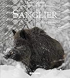 Sanglier by