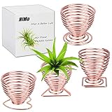 Air Plant Holder Airplant Stand Fuego Planter Lonantha Tillandsia Plant Display Racks, Live Tropical House Plants for Home Decor-Indoor Air Plants-4Pack (Rose Gold)