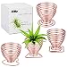 Air Plant Holder Airplant Stand Fuego Planter Lonantha Tillandsia Plant Display Racks, Live Tropical House Plants for Home Decor-Indoor Air Plants-4Pack (Rose Gold)
