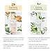 TeaTime Tencel Korean Face Mask Sheet | Tea Essence Moisturizing, Soothing, Energizing, and Balancing Facial Skin (Total 4 sheets, 1 of 4 kinds)