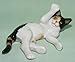 CAT CALICO Kitten plays on her back MINIATURE New Figurine PORCELAIN Northern Rose R314G