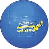 BSN Official Wallyball Ball