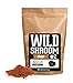 Chaga Mushroom Extract Powder by Wild Foods - 10:1 Triple Hot Water Extraction of Fruiting Body, Wild Harvested Nootropic Superfood (2 Ounce)