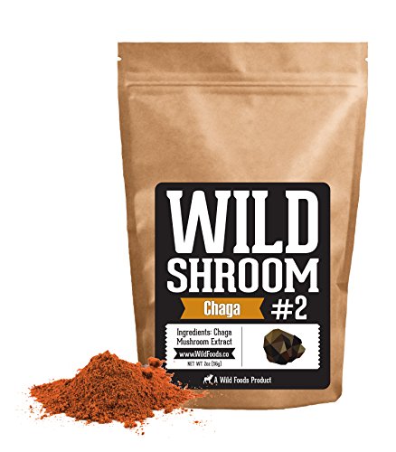 Chaga Mushroom Extract by Wild Foods - 10:1 Water-Extraction of Wildcrafted Chaga (2 ounce)