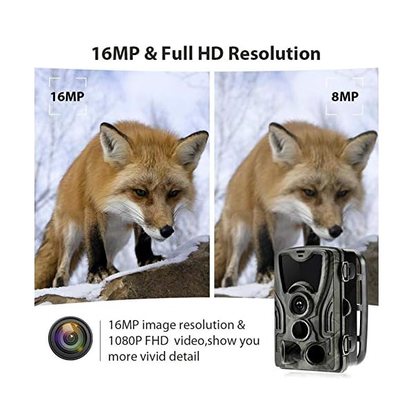 LXYDD Wildkamera Fotofalle 16MP 1080P HD Jagdkamera Nachtsicht Bewegungsmelder IP65 Wasserdichter＆ Staubdicht120… – Bild 5