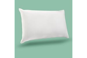 TRENDY HOME BY PEPMART TRADERS Trendy Home 12x18 Throw Pillow Insert, Cushion Sham Stuffer Hypoallergenic, Lumbar Support Decorative Home Outdoor Couch Bed Pillow Filler (Non Woven)