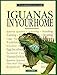 Iguanas In Your Home: A Complete Authoritive Guide by 