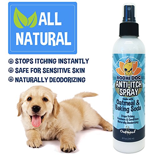 Useful Canine Training Tips & Tools 5 NEW Anti Itch Oatmeal Spray for Dogs and Cats | 100% All Natural Hypoallergenic Soothing Relief for Dry, Itchy, Bitten or Allergic Damaged Skin Treatment | Professional Quality - 1 Bottle 8oz (240ml)