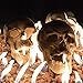 Stanbroil 9-Inch Imitated Human Skull Gas Log for Indoor or Outdoor Fireplaces, Fire Pits Halloween Decor, 1-Pack - Patent Pending