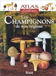 Les  champignons de nos régions
