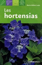 Les  hortensias