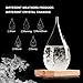 Storm Glass Weather Forecast Weather Station, GMISS Creative Fashion Weather Forecaster, Storm Glass Bottle Barometer on Wooden Base, Home and Office Decor & Gifts（large）