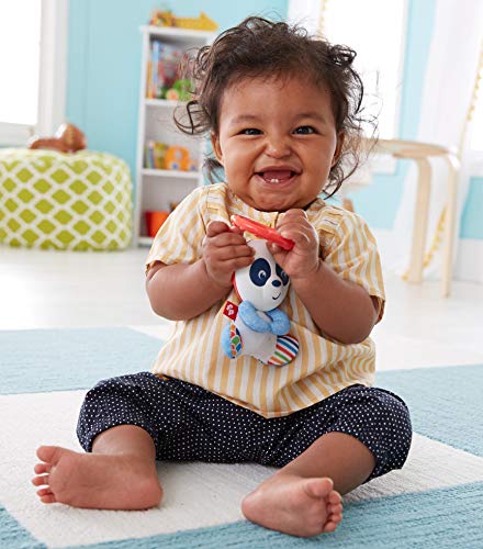 1 Fisher+Price+DYF94+Panda+Mirror