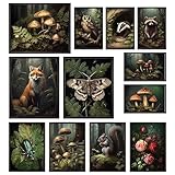 97 Decor Cottagecore Room Decor Aesthetic - Cottage