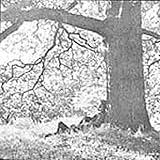 Yoko Ono's Plastic Ono Band Yoko Ono's Plastic Ono Band