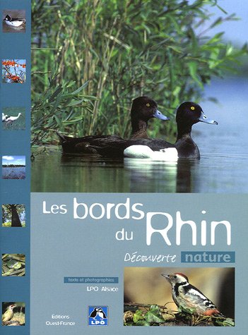Les  bords du Rhin