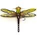 Popper Fishing Bait Lure Life-Like Dragonfly Floating Fly Fishing Flies New (B)