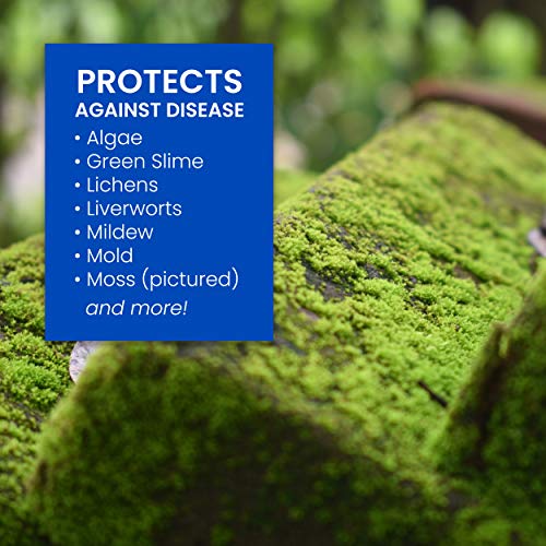 BioAdvanced 704710B Moss and Algae Killer ReadyToSpray, 32 oz