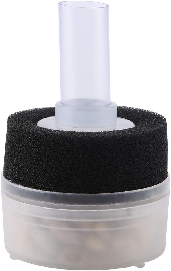 Biological Sponge Filter for Aquarium Fish Tank, Air Driven Corner Filter with Sponge Media