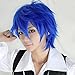 S-noilite Cosplay Wig Short Unisex Anime Wig Fluffy Hair Wig Japanese Anime Wig Comic Hairstyles With Layered Bang For Halloween Cosplay Party Costume Full Synthetic Wigs (Dark Blue)