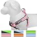 Blueberry Pet Soft & Comfy 3M Reflective Step-in Pastel Color Padded Dog Harness, Chest Girth 23.5