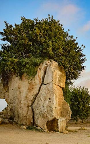 Notebook: Cyprus Paphos Tombs of the Kings Archaeology by Wild Pages Press