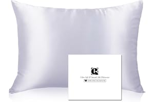 Silk Pillowcase for Hair and Skin with Hidden Zipper, Ravmix Both Sides 21Momme Mulberry Silk Pillowcase Cooling Pillowcase Standard Size 20×26inches, 1PCS, Silver Grey