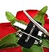 Red Velvet Rose Hair Flower Clip and Pin