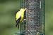 Squirrel Buster Finch Squirrel-proof Bird Feeder w/4 Metal Perches & 8 Feeding Ports, 2.4-pound Thistle/Nyjer Seed Capacity