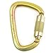 Spidergard S01813-S Steel Carabiner 50kn (11,200 lb) Rated, Twist Auto Lock, ANSI Certified