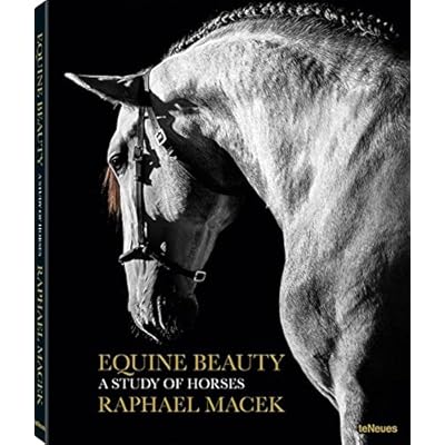 EQUINE BEAUTY SMALL (Photographer) EQUINE BEAUTY SMALL (Photographer)