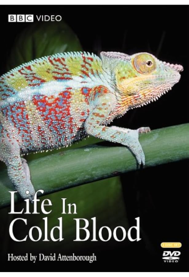 Amazon.com: Life in the Undergrowth : Movies & TV