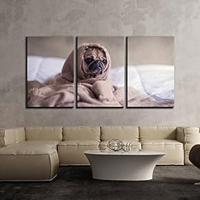 Adorable Puppy in Blanket x3 Panels