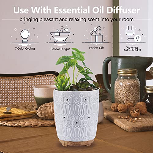 Essential Oil Diffuser, Artificial Succulent Plants Diffusers for