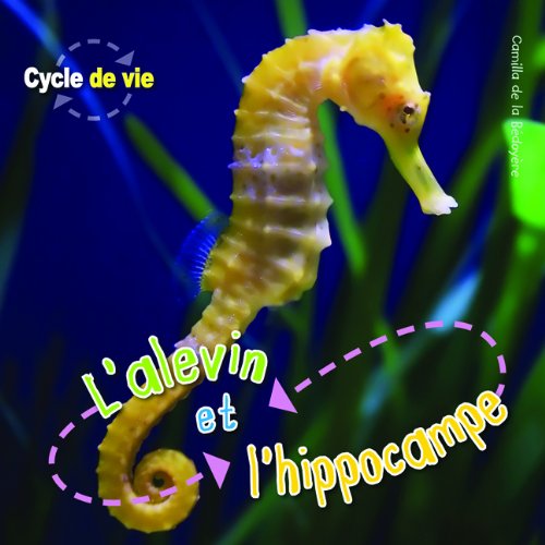Cycle De Vie L Alevin Et L Hippocampe De La Bedoyere Camilla Books Amazon Ca Cycle De Vie L Alevin Et L Hippocampe De La Bedoyere Camilla Books Amazon Ca
